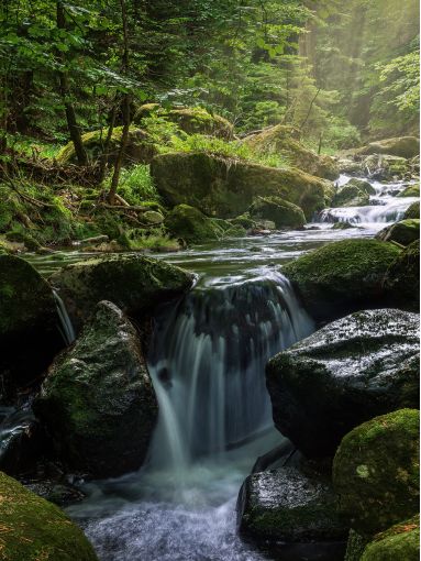 Corporate Wellness Retreats