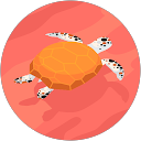 Isla Newman profile picture